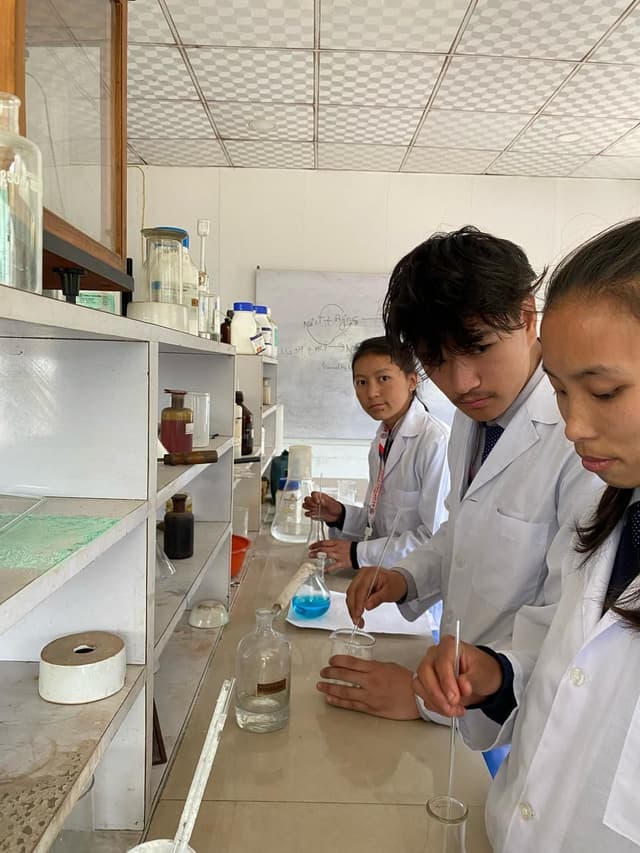 Students practicing acupuncture